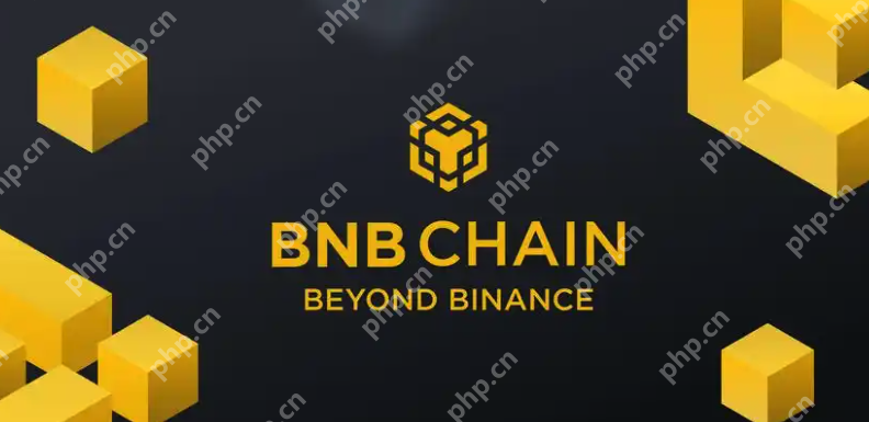 币安链上是啥意思？币安链上怎么注册安装？ - php中文网